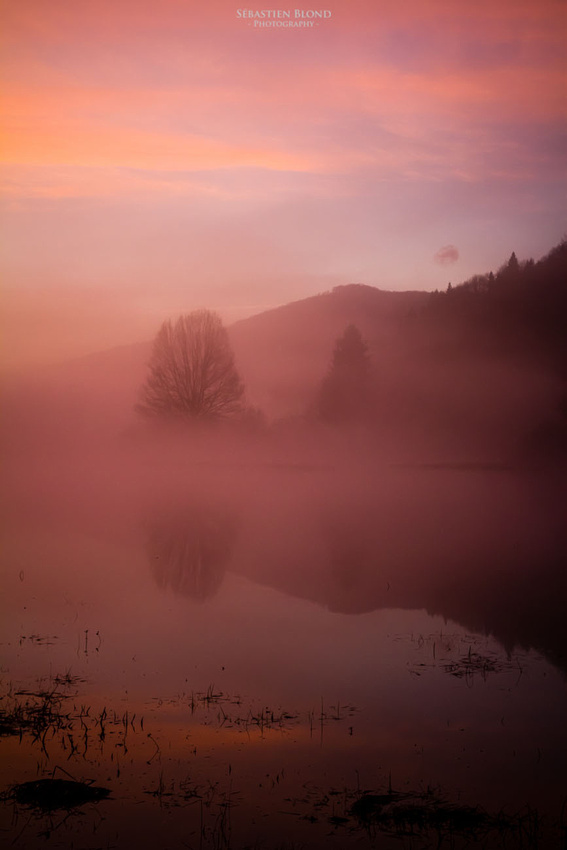 Radensko Polje